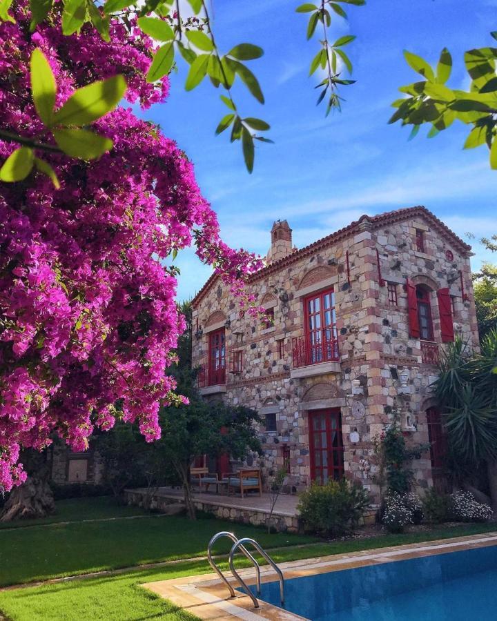 Alacati Zeytin Konak Hotel Eksteriør bilde
