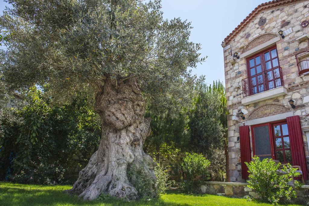 Alacati Zeytin Konak Hotel Eksteriør bilde